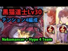 黒猫道士マスターLv30お試し マグナテンション4編成【グラブル】 / Buffs, lots of buffs Nekomancer [GBF]