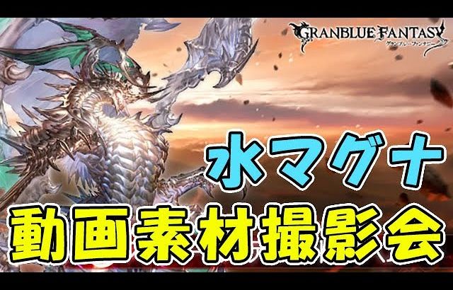 【グラブル】スパバハ 水マグナ撮影会「グランブルーファンタジー」