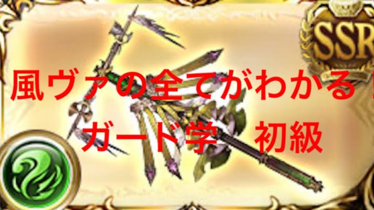 グラブル  風ヴァイキング　序盤のターンの進め方(ゼピュ) ゆっくり解説