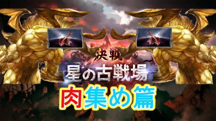 【グラブル】肉集めのお時間だ【風有利古戦場】