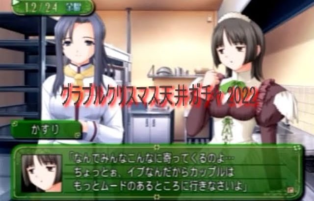グラブルガチャ天井動画　2022年クリスマスグランデフェス編