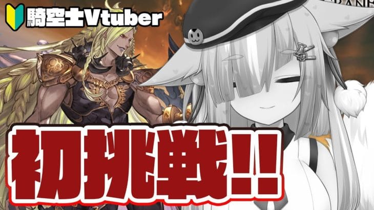 【グラブル/完全初見🔰】プレイ2か月弱！！ベルゼバブに初ソロ挑戦する！！【玉響憩/Vtuber】