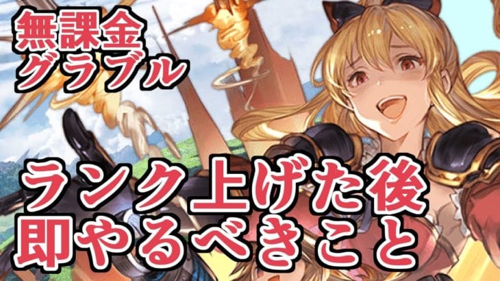 ランクが上がり始めたらとりあえずやっておきたい、現環境初心者の最優先事項を感じた話【無課金グラブル】