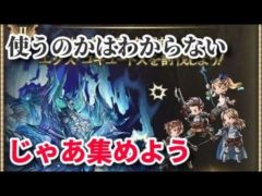【本当に必要なのか】コキュ銃を6本集める覚悟を共有するライブ【グラブル】