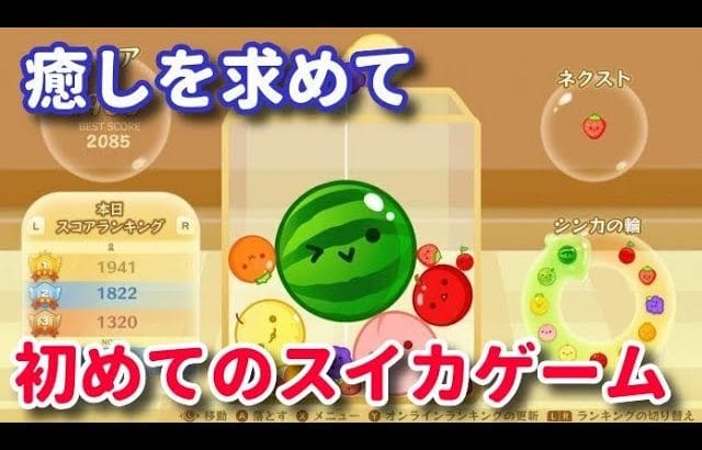 【癒し】初めてのスイカゲームに挑め【240円】