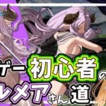 ナルメアさん最かわで最強！格ゲー初心者のナルメアさん道 #6【柴園わんこ】【#Vtuber】【GBVSR・Granblue Fantasy Versus -RISING-グラブルヴァーサスライジング】