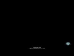 過去のグラブルVSのコロッサスバトル