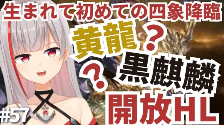 【グラブル初心者/新人Vtuber】生まれて初めての四象降臨!黄龍?黒麒麟?わかりゃんからおすえて!#57【ここもの2.5期生 / リアン・クレアトゥール】