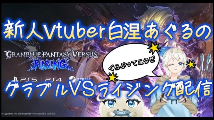 【グラブルVSライジング】 グラブルVSライジングやるぞ!!