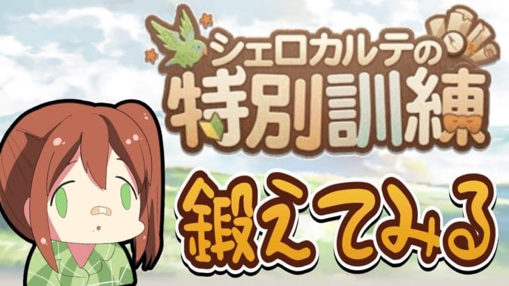 【有識者求む!!】初心者騎空士が「シェロカルテの特別訓練」やってみた！【#グラブル /#グラブル初心者 /#個人VTuber /#男性VTuber 】