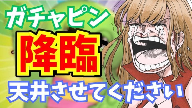 【#グラブル 】神引きガチャ配信だけど、リアルガチャピン降臨させたら顔バレすると言う放送事故に見舞われた配信の続き【 Vtuber / 希乃実まろん 】