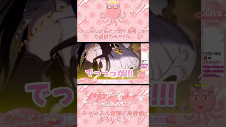 #shorts 【グラブルVSR/#GBVSR】ガレヲンのあれこれを凝視してご満悦のみーわん【葛飾みーわん/VTuber切り抜き】