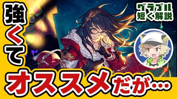 クリスマスイルノート解説▶周年サプチケで悩んでるあなた！光古戦場で必要か知りたいあなた！ぜひこちらをご覧ください！【グラブル】