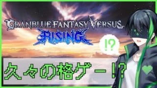 『Granblue Fantasy Versus: Rising』推し動かせる格ゲーとか最高じゃんね【ゲーム配信】