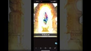 グラブルSSレア確定チケットガチャ結果