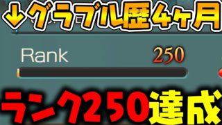 【英雄になりたい】グラブル歴四ヶ月、ランク250になったぞー！ #グラブル
