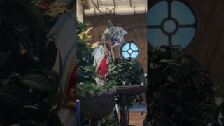 #シス #グラブルexフェス2025 #仙台 #グラフェス #グラブル #グランブルーファンタジー