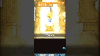 グラブルサマーキャンペーン無料10連11日目！#グラブル