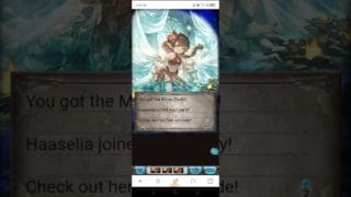 Pull for Summer Haaselia & Catura #ガチャ #グラブル