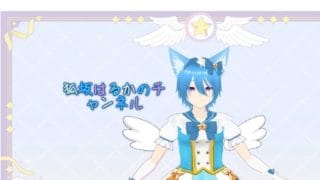 参加型 グラブルVSR【GBVSR】やっていきます