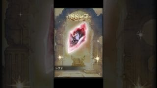 【グラブル】コラボ限定特別ガチャセットを引いてみたけども