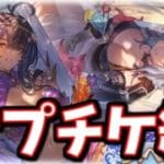 サプチケで交換しても良いレベルのキャラが加入してた話【グラブル】