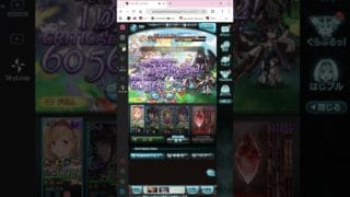 【グラブル】2025 闇古戦場 100hellフルオート34秒 1t〆