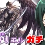 【グラブル】アニメとリリンクは履修済みのグラブル微初見プレイ！【After the Fall サリエルガチャ2】
