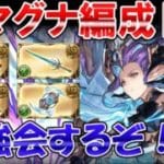 🔴【風マグナ】マグナ武器の必要本数調べるぞ！　風古戦場に向けてマグナ編成勉強しながら雑談ライブ【グラブル】