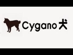 【緊急】雑談【グラブル 】【顔出し】【GBF】