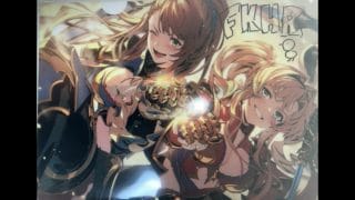 初心者の初心者による初心者のためのグラブル【GBVSR】