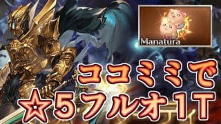 ヘイムダル×ココミミでドレッドバラージュ☆5ボスを1Tフルオ討伐出来てしまい新たなる風~wind~を感じる男【グラブル】