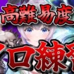 【グラブル】高難易度ソロ練習の日、うまくいけば配布します【新人Vtuber】【グランブルーファンタジー】
