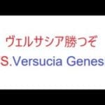 【グラブル】今日こそはヴェルサシア勝ちてぇ
