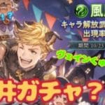 【グラブルガチャ】ヴェインくんとランスロットのためにただただ無心で引く会
