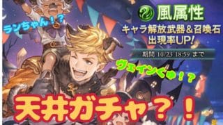 【グラブルガチャ】ヴェインくんとランスロットのためにただただ無心で引く会