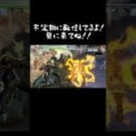 只ノ人の日常(操作ミスについて)[GBVSR/グランブルーファンタジー ヴァーサス -ライジング-]#granbluefantasyversusrising  #gbvsr