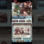 グラブルゆく年くる年ガチャ