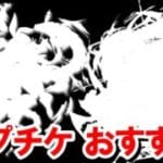 【サプチケ】最近の恒常キャラの中で頭1つ抜けて強いのがいる 【グラブル】
