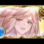 【水古戦場】3500万 片面カグヤ &  SWARM 両面カグヤ【グラブル】