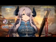【GFVR】Granblue Fantasy Versus: Rising【こちらも水着はありませんか・・？】グランブルーファンタジー ヴァーサス　ライジング　#GFVR　#PS4　#DLC