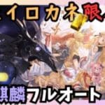 N黒麒麟ソロフルオート 光ファイター編成 1:16/2T【グラブル】