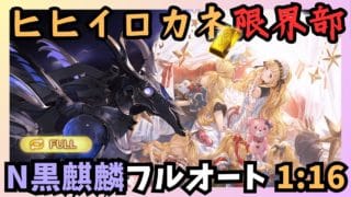 N黒麒麟ソロフルオート 光ファイター編成 1:16/2T【グラブル】