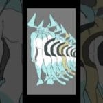 肉集め　#自作アニメ #animation #グラブル