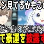 【グラブル】豪運過ぎてコメント欄もざわつく叶のガチャ配信【切り抜き/にじさんじ】