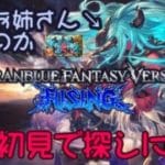 【グランブルーファンタジーヴァーサス -ライジング-】 ヴェルサシアが何なのか確かめるべく以下略