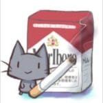 ＜ネタバレ注意＞　グラブル　周年ガチャ　１５日目