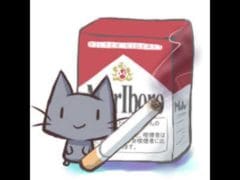 ＜ネタバレ注意＞　グラブル　周年ガチャ　１５日目