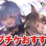 【サプチケ】風古戦場250HELLフルオートおすすめ＆ヴェルサシアでよく使われている恒常キャラと召喚石まとめ 【グラブル】