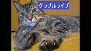 ＃グラブル　水有利古戦場４日目　本戦１日目　おすそ分け天元２戦、ルシゼロ２戦　ライブ：１２８７　０４月０９日　木曜日